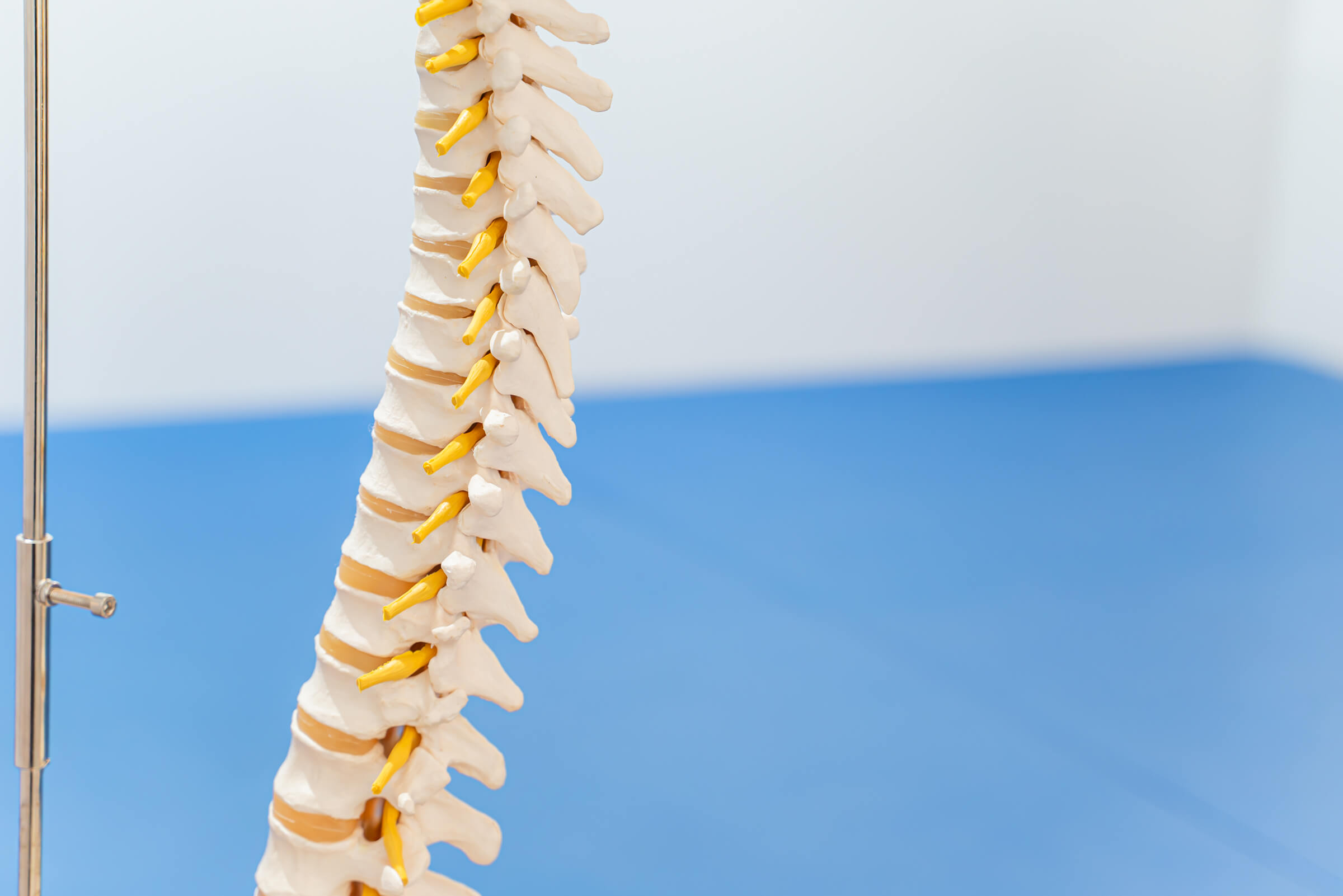 お悩み別・症例